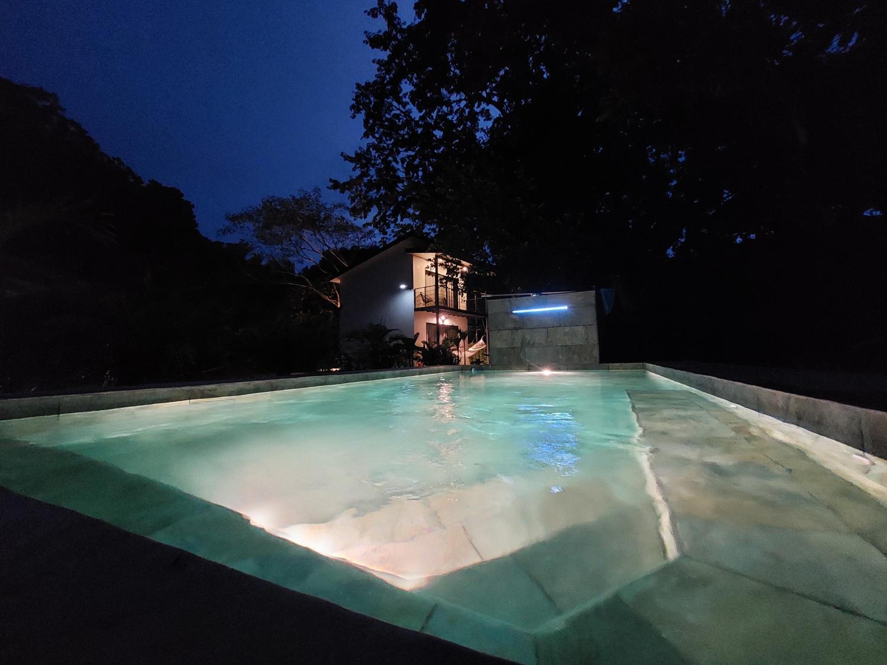 Vista Verde Surf & Studios - jungle View