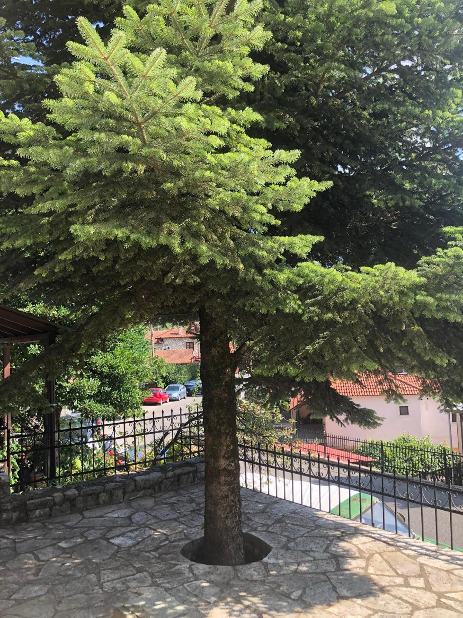 Sfiris Resort