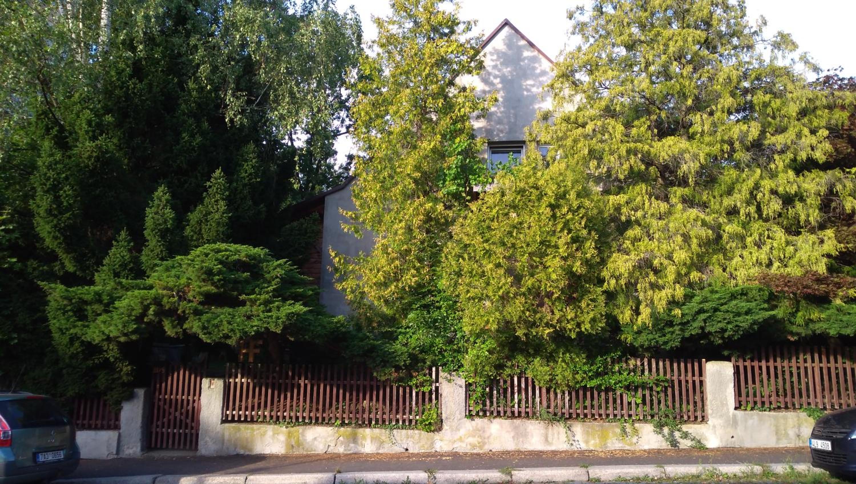 Photo 15
