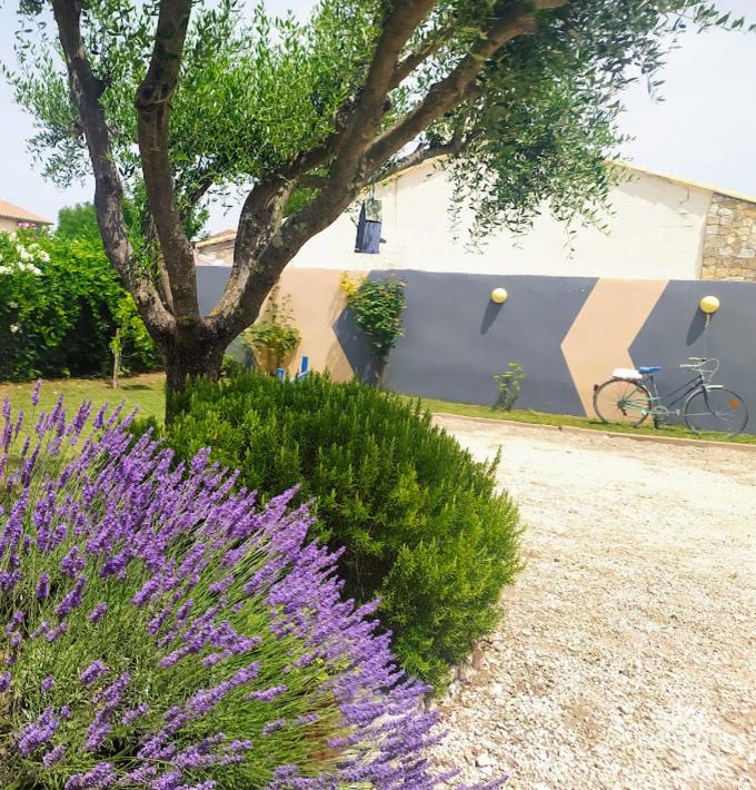 Les Gites de Cayenne - Gite Olivia - Property Image 15