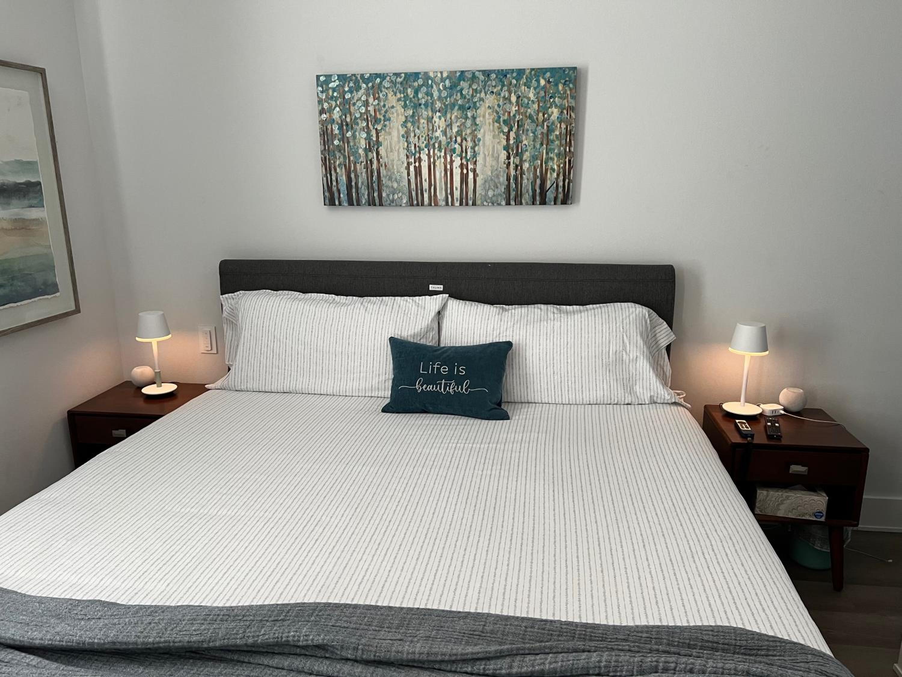 New Centennial Park Luxury Smart Home w Courtyard view 4