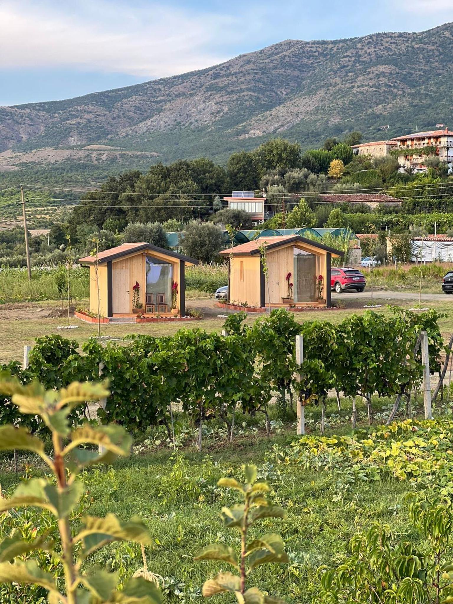 Fishta Guesthouse - Mrizi i Zanave