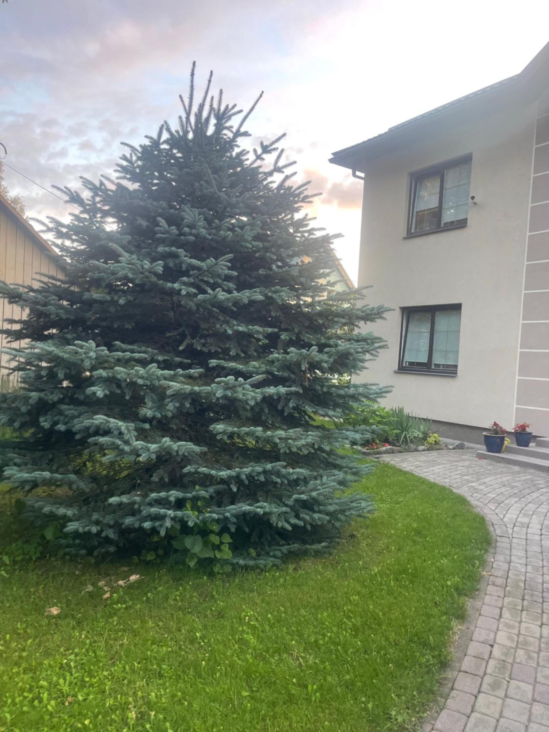 Photo 39