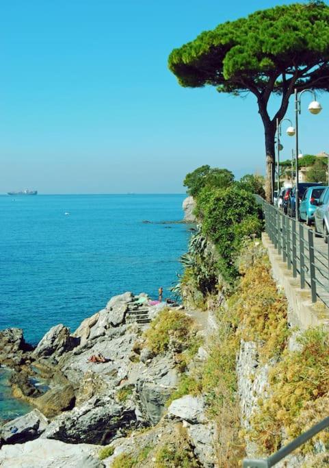 Bilocale grazioso montefiorito