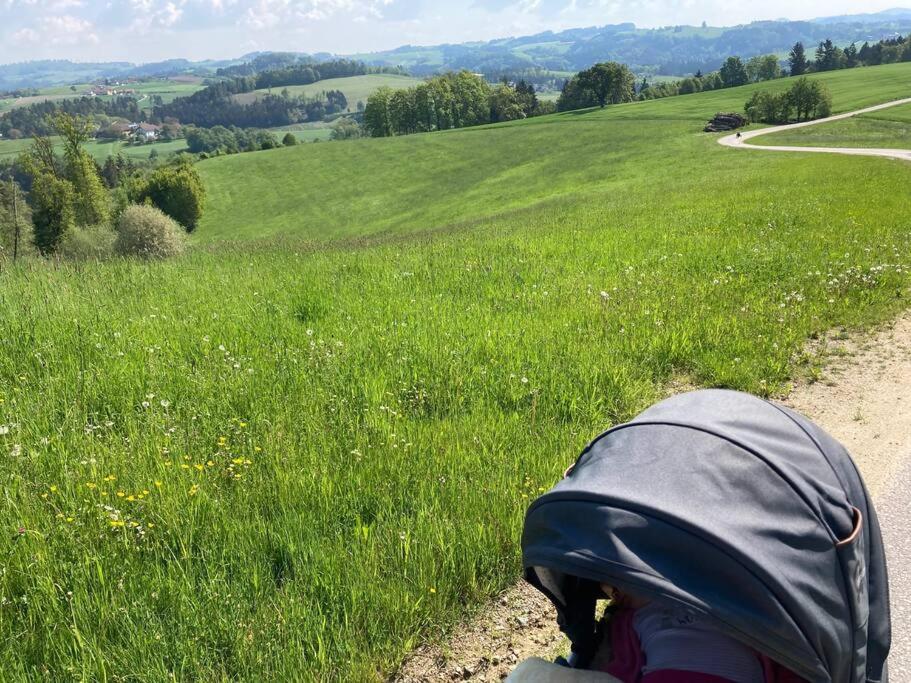 Wohnen im Grünen