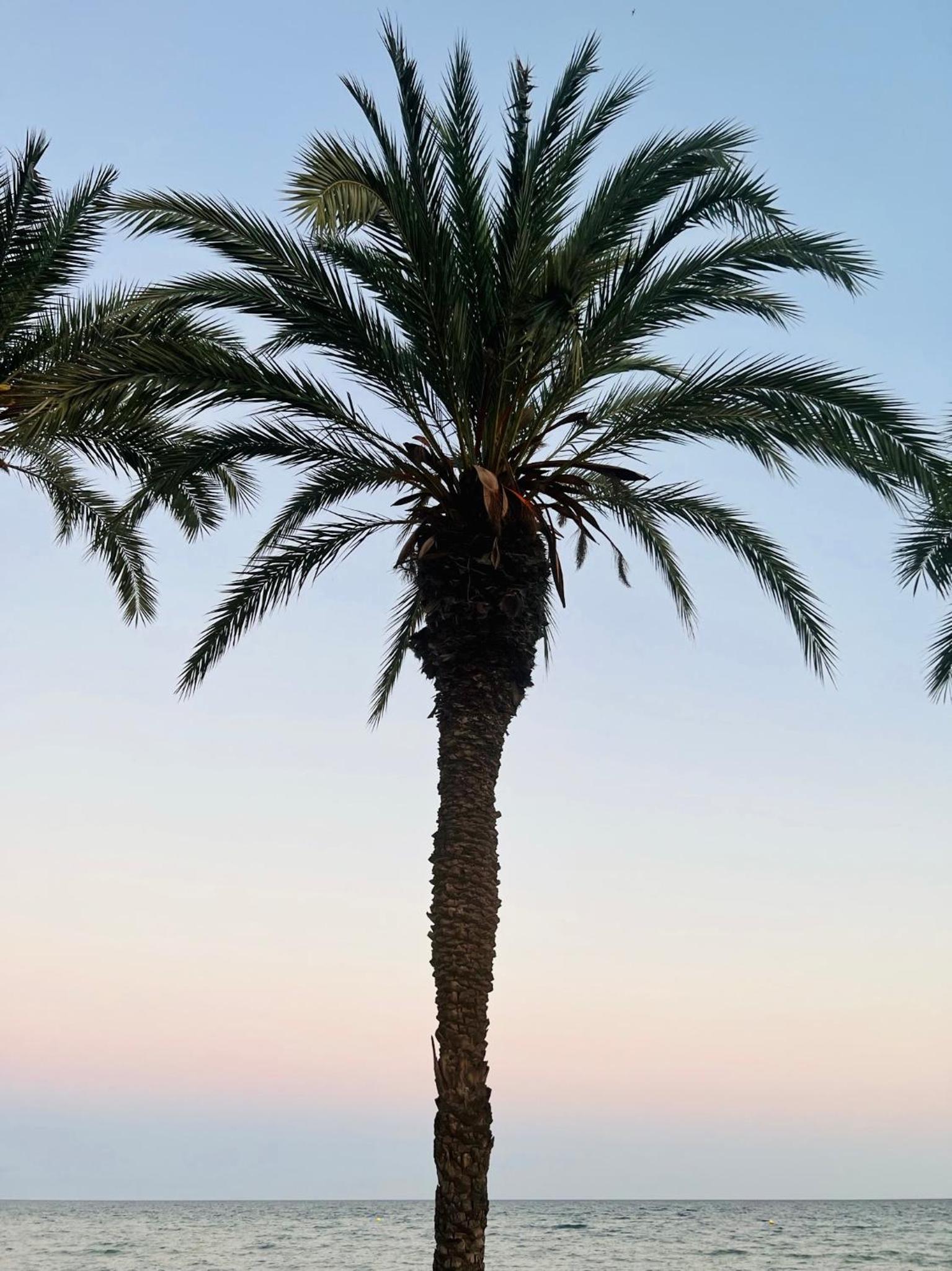 La Caleta