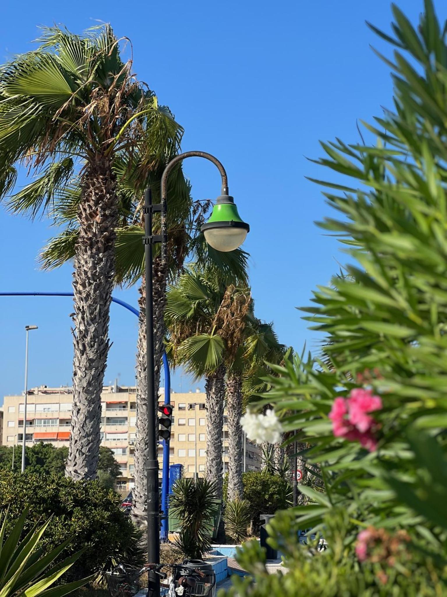 La Caleta