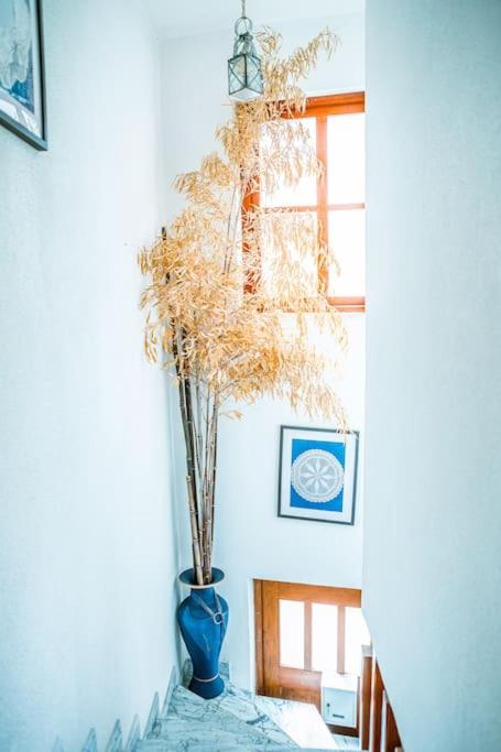 Casa da Ernesta view 3