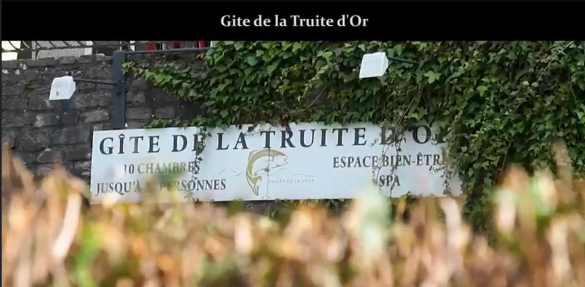 Gîte The Golden Trout