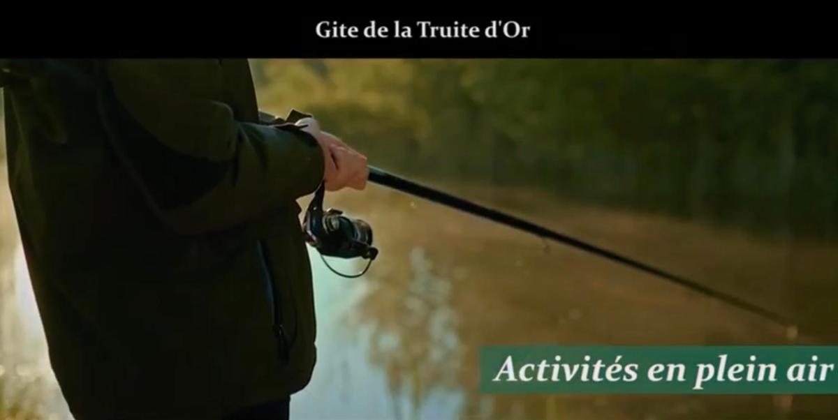 Gîte The Golden Trout
