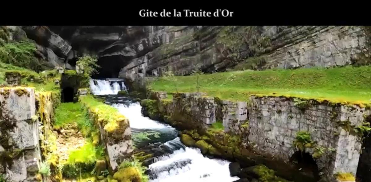 Gîte The Golden Trout