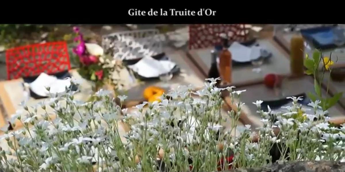 Gîte The Golden Trout