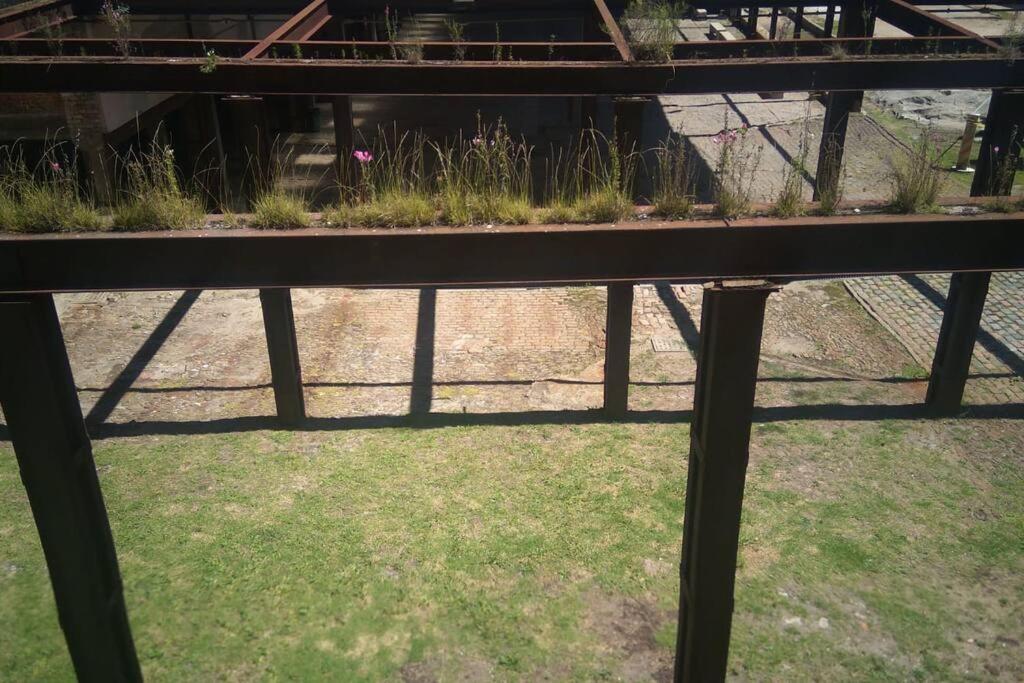 Photo 19