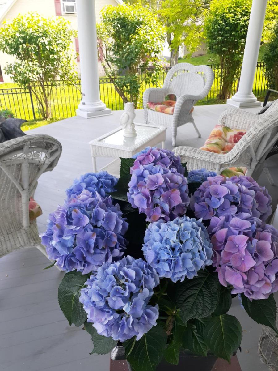 Photo 26