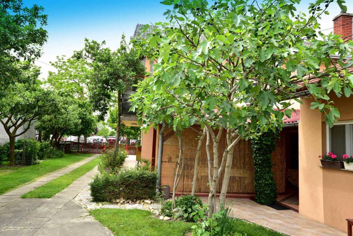 Štefanija Apartmani