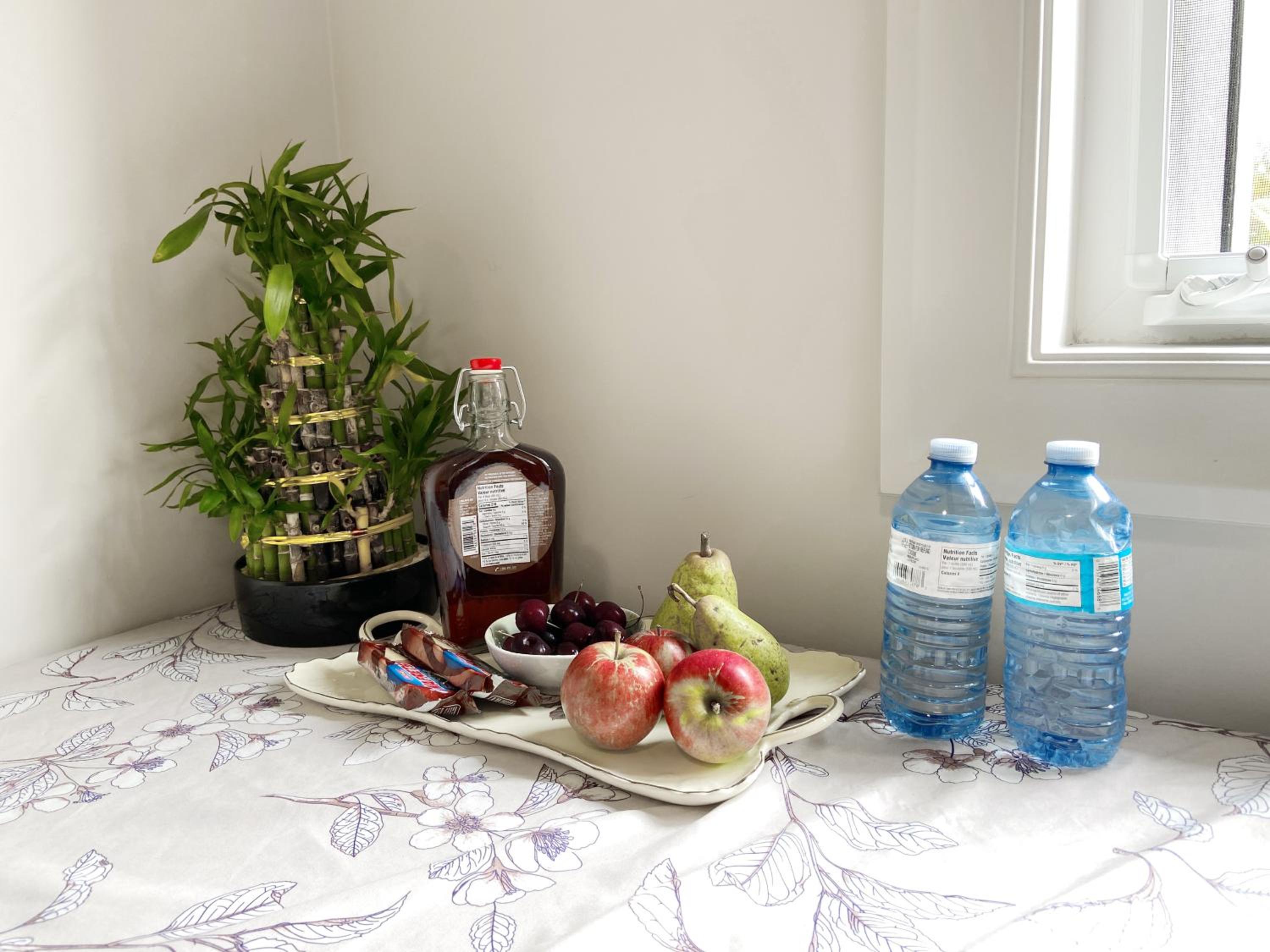 Rose Garden Vacation Studio