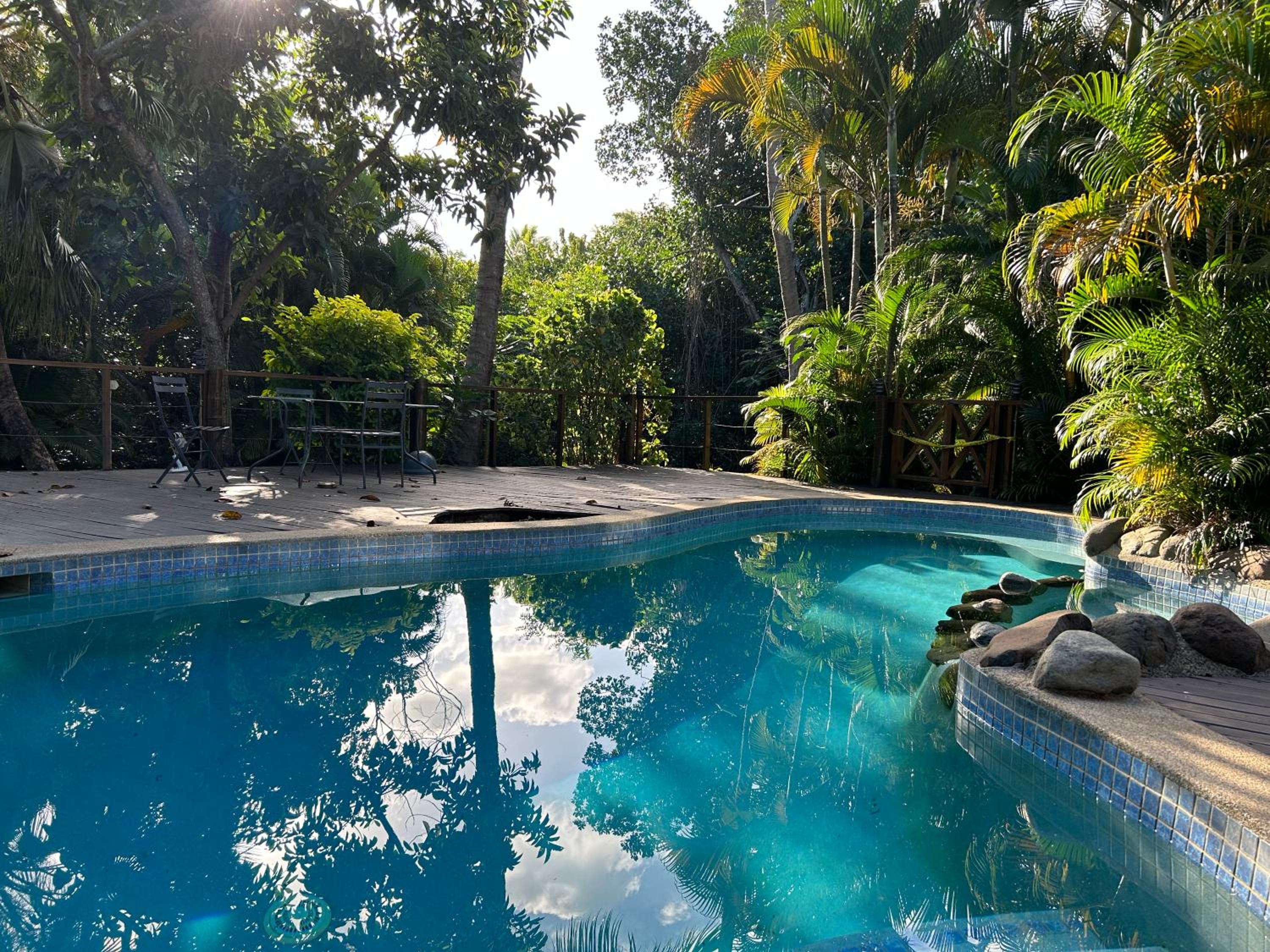 Tropical Garden-04-F - view 9