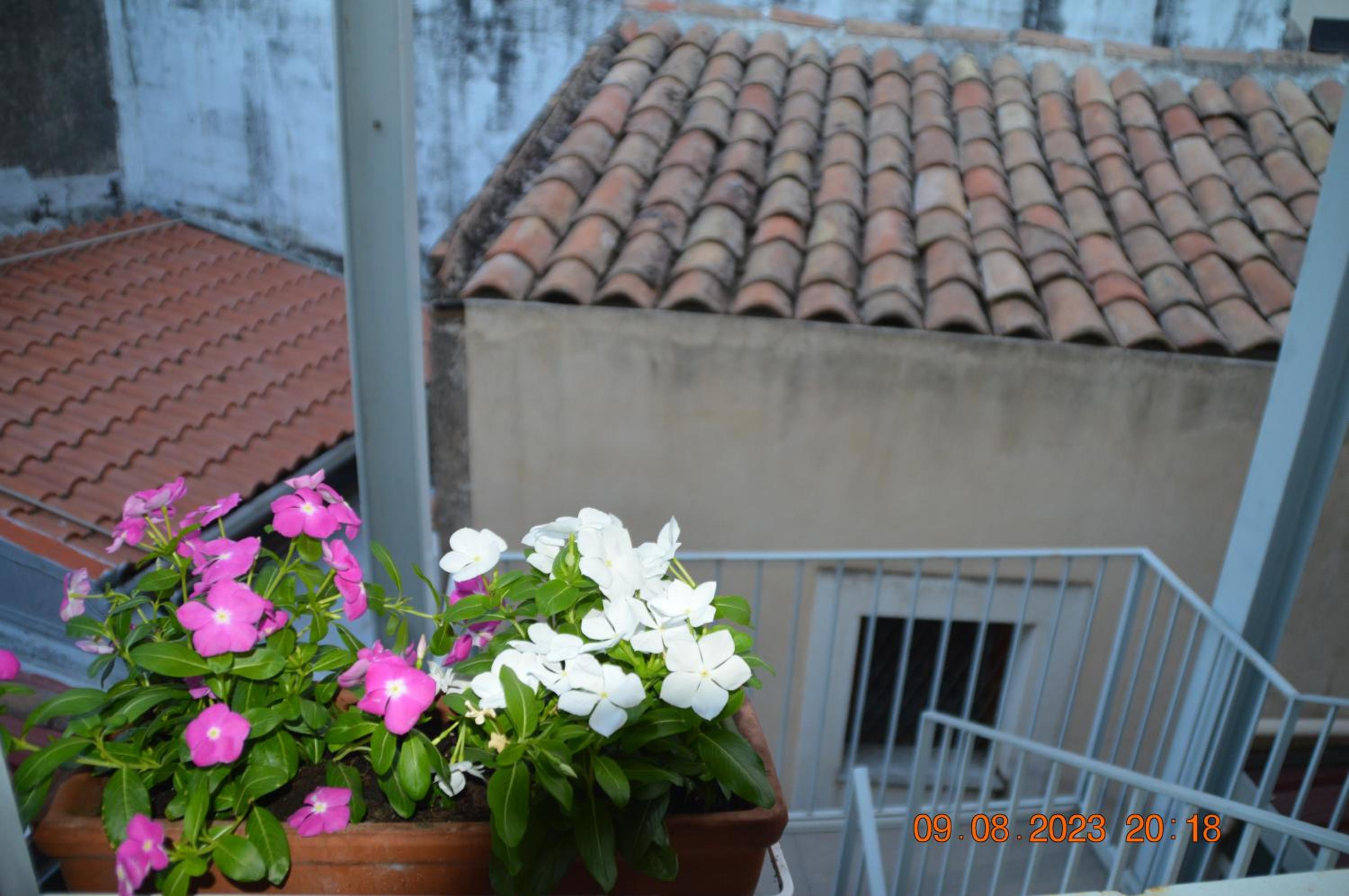Photo 65