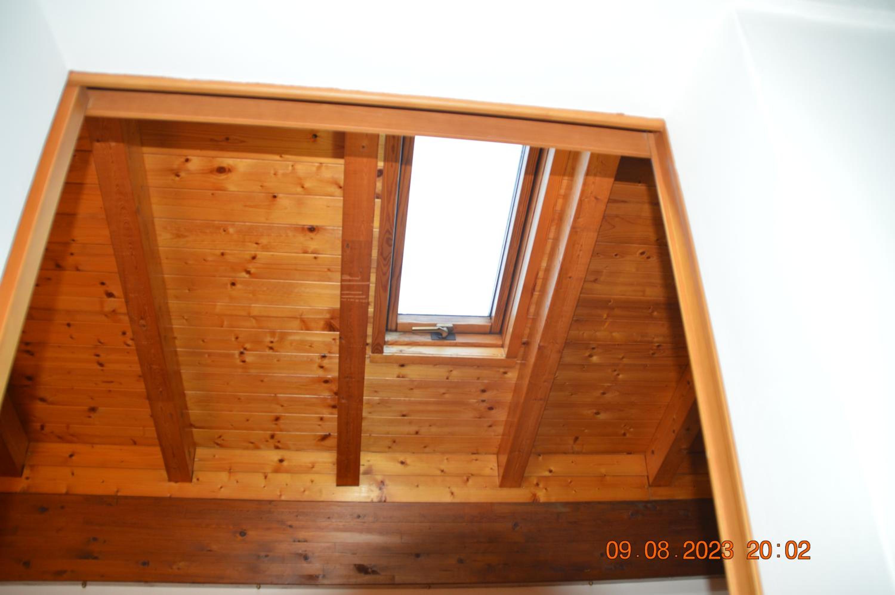 Photo 50