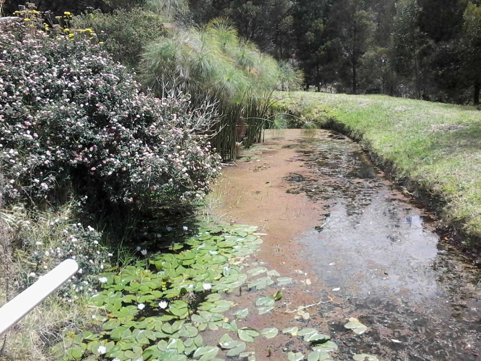 Granja el Milagro - Cabañas Campestres