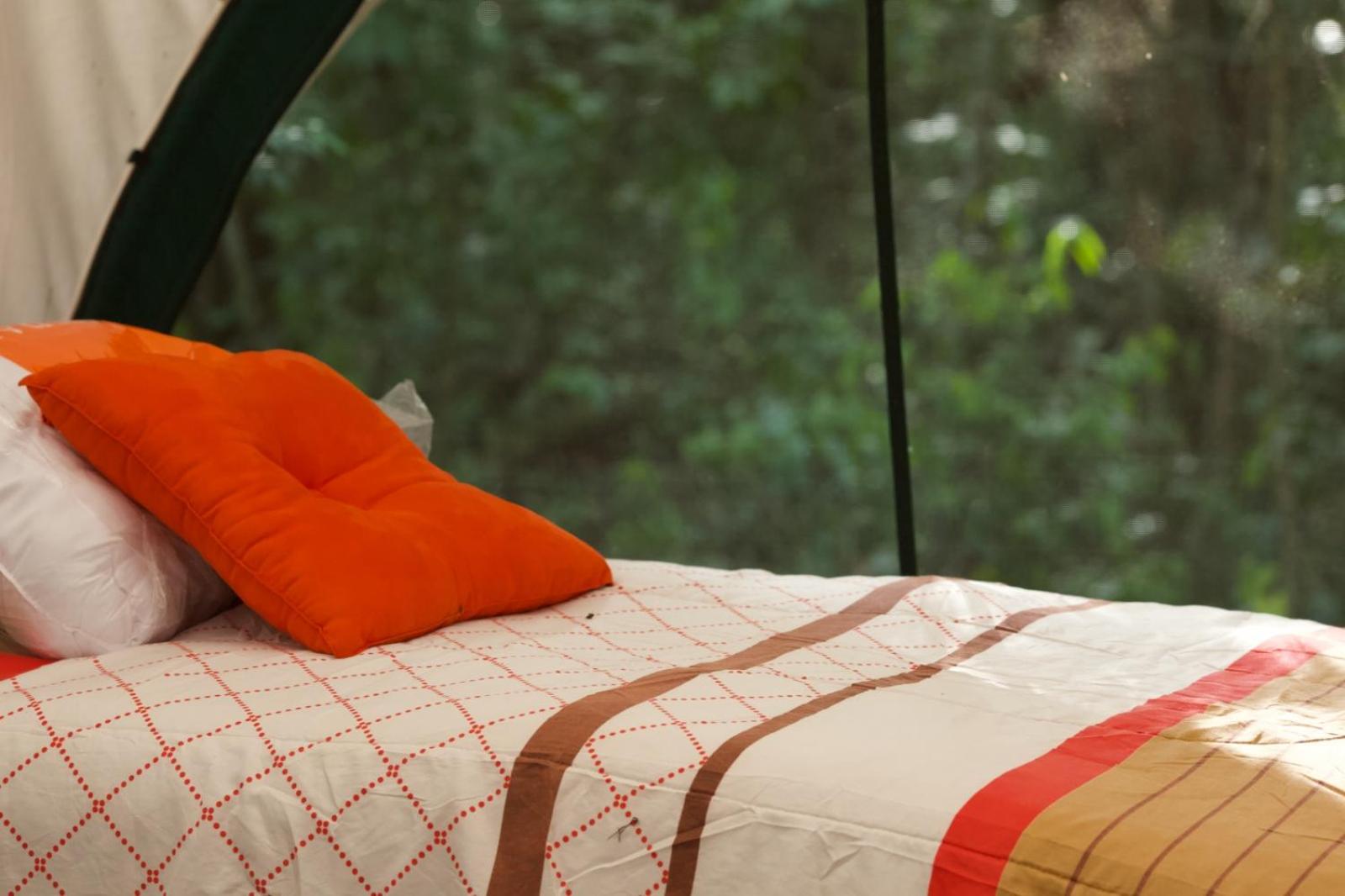 Magical jungle Eco Cabana -Tulum