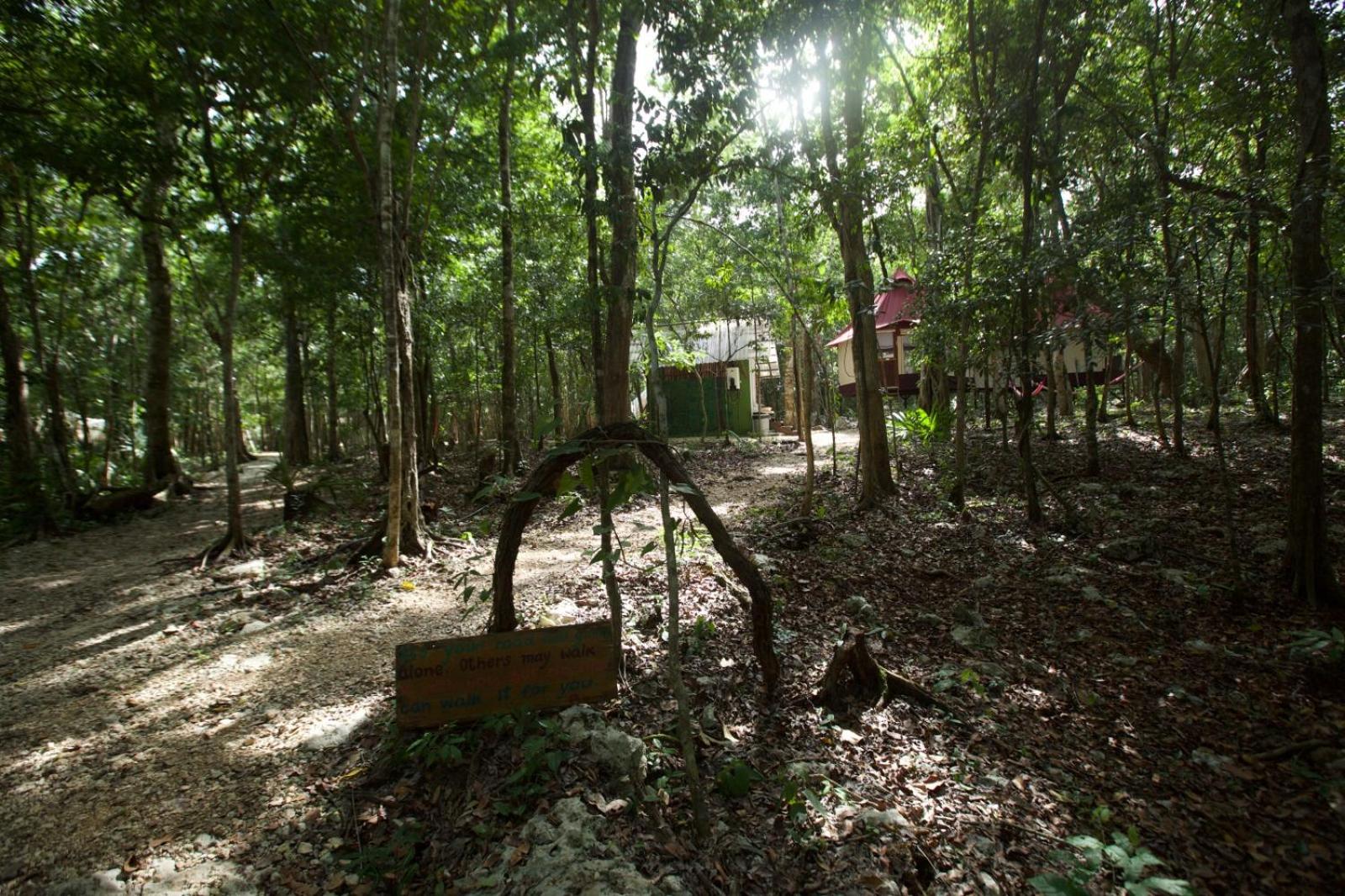 Magical jungle Eco Cabana -Tulum