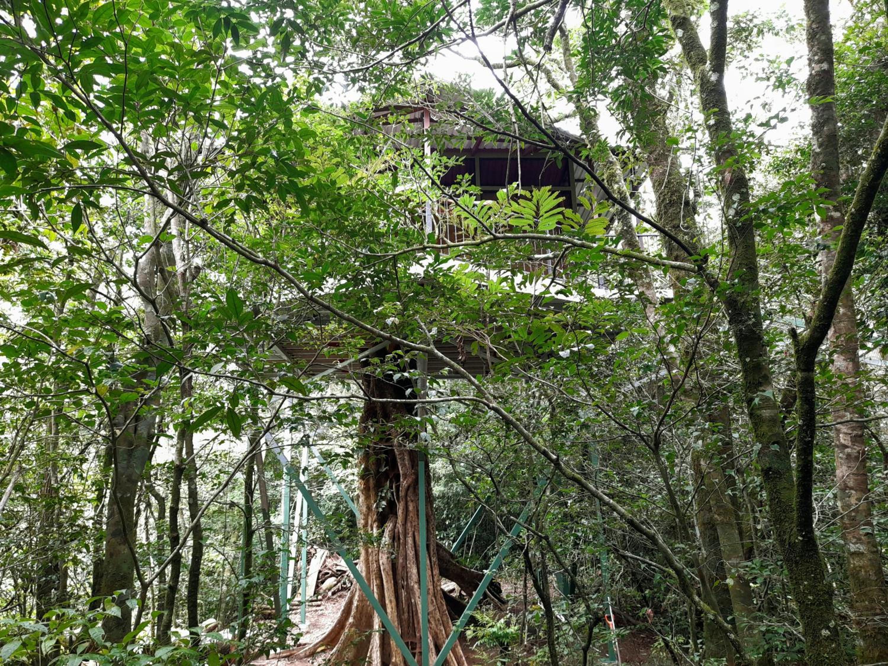 Cabañas La Montaña