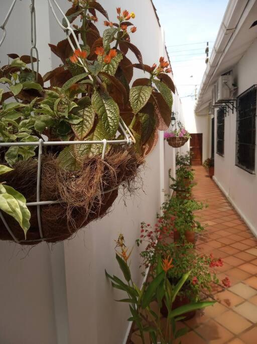 Casa Blanca María Barranquilla - Authentic republican house