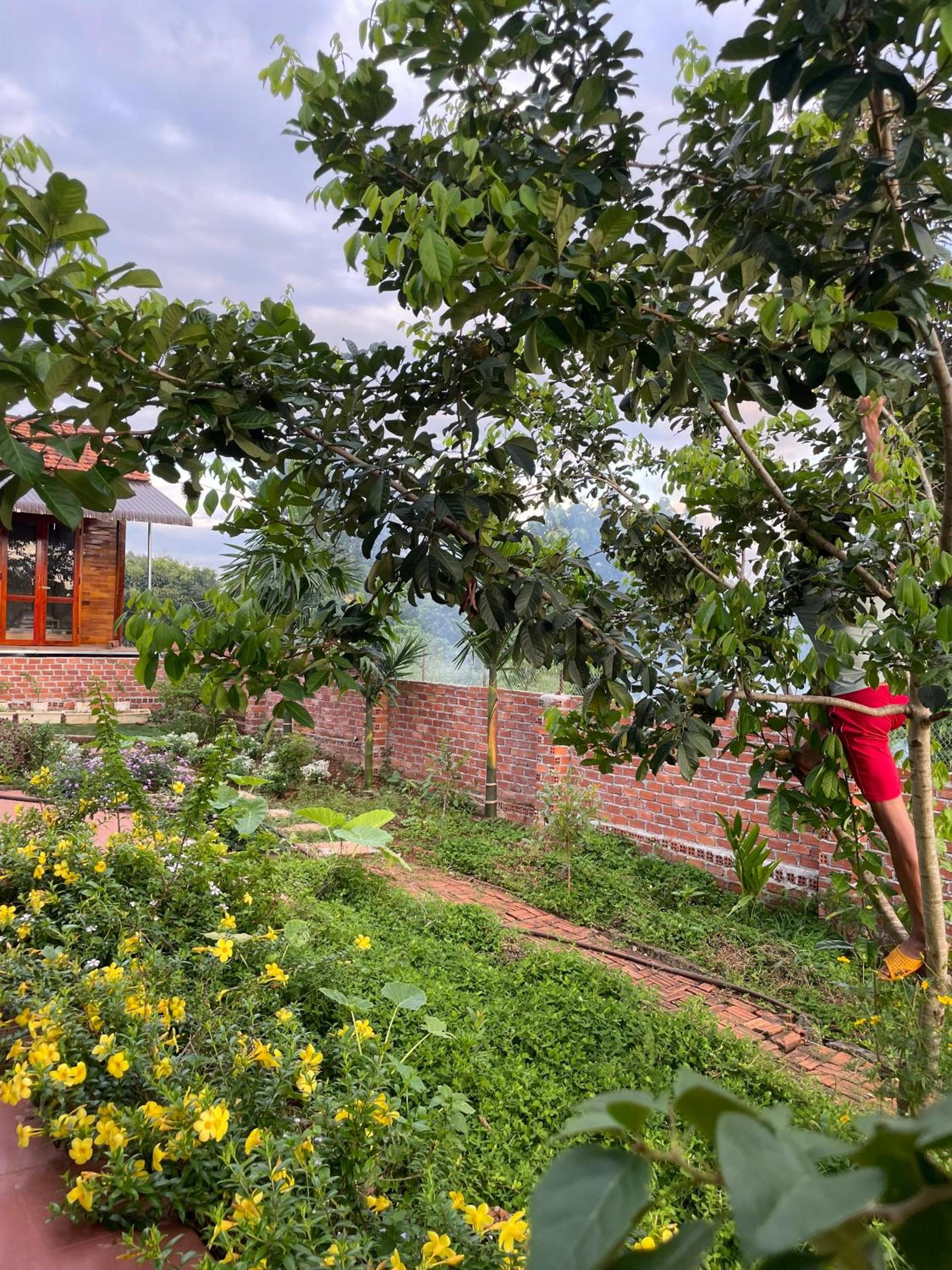 Bảo Châu Garden view 2