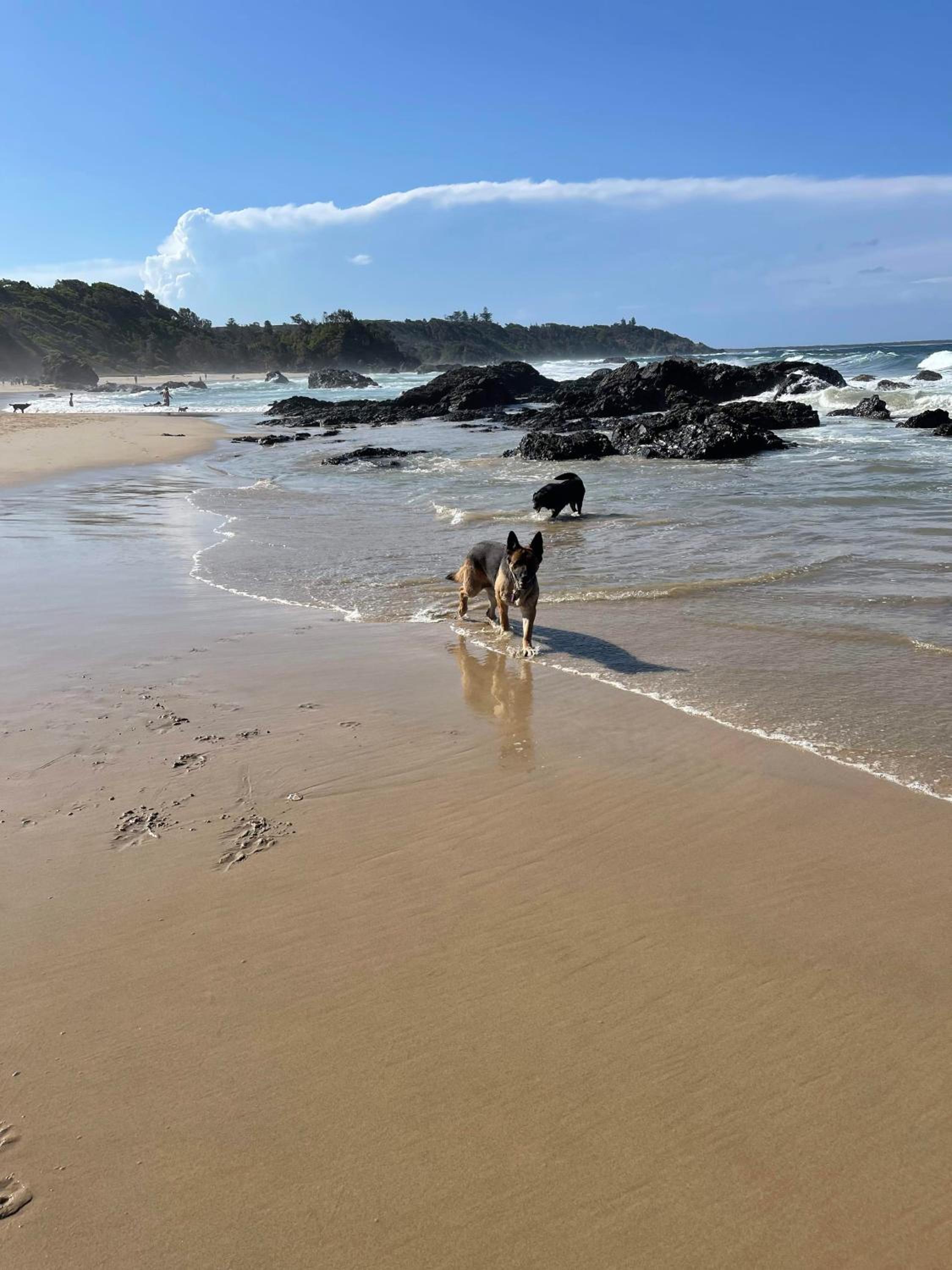 Port Macquarie Ocean Escape
