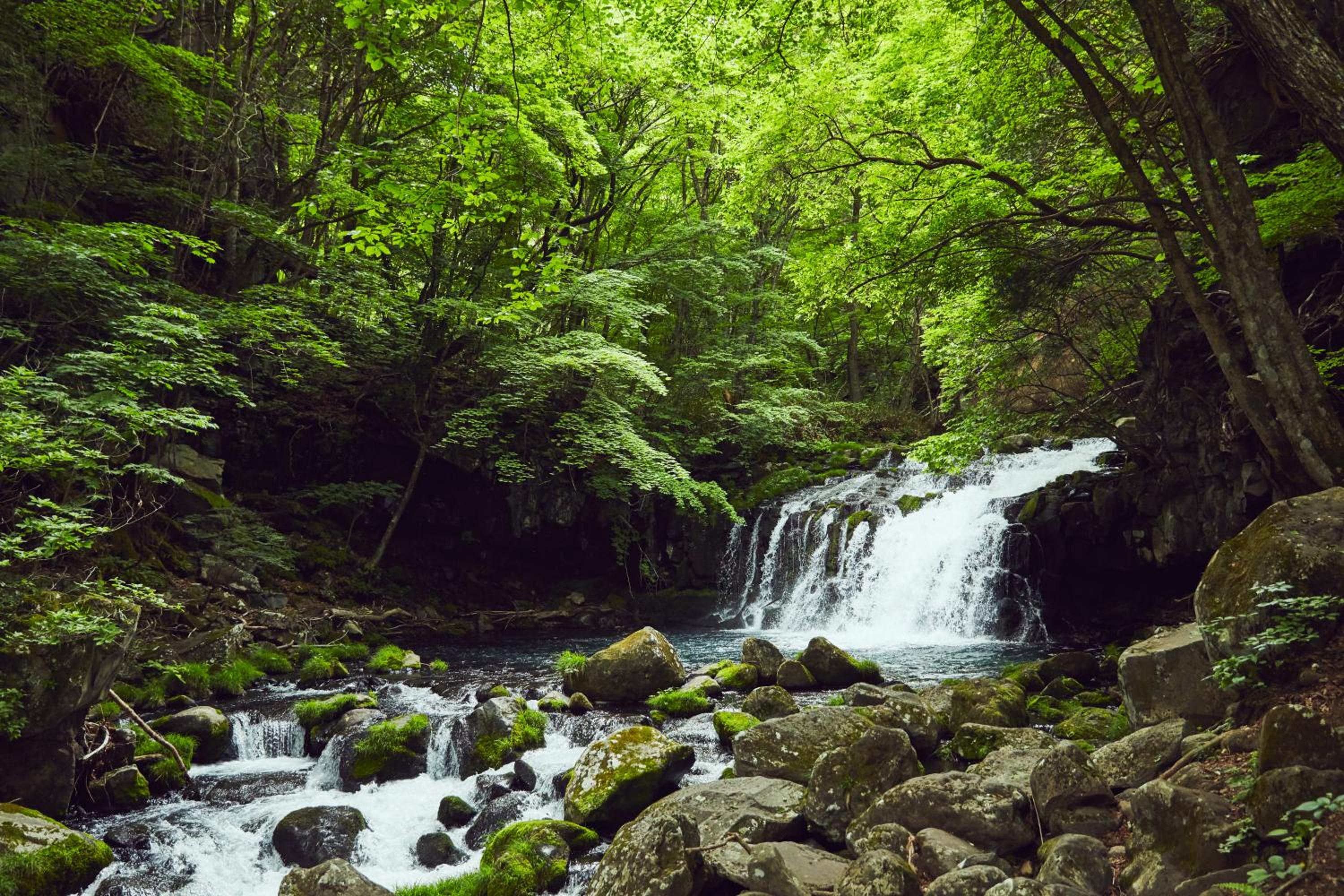 Tateshina Shinyu Onsen