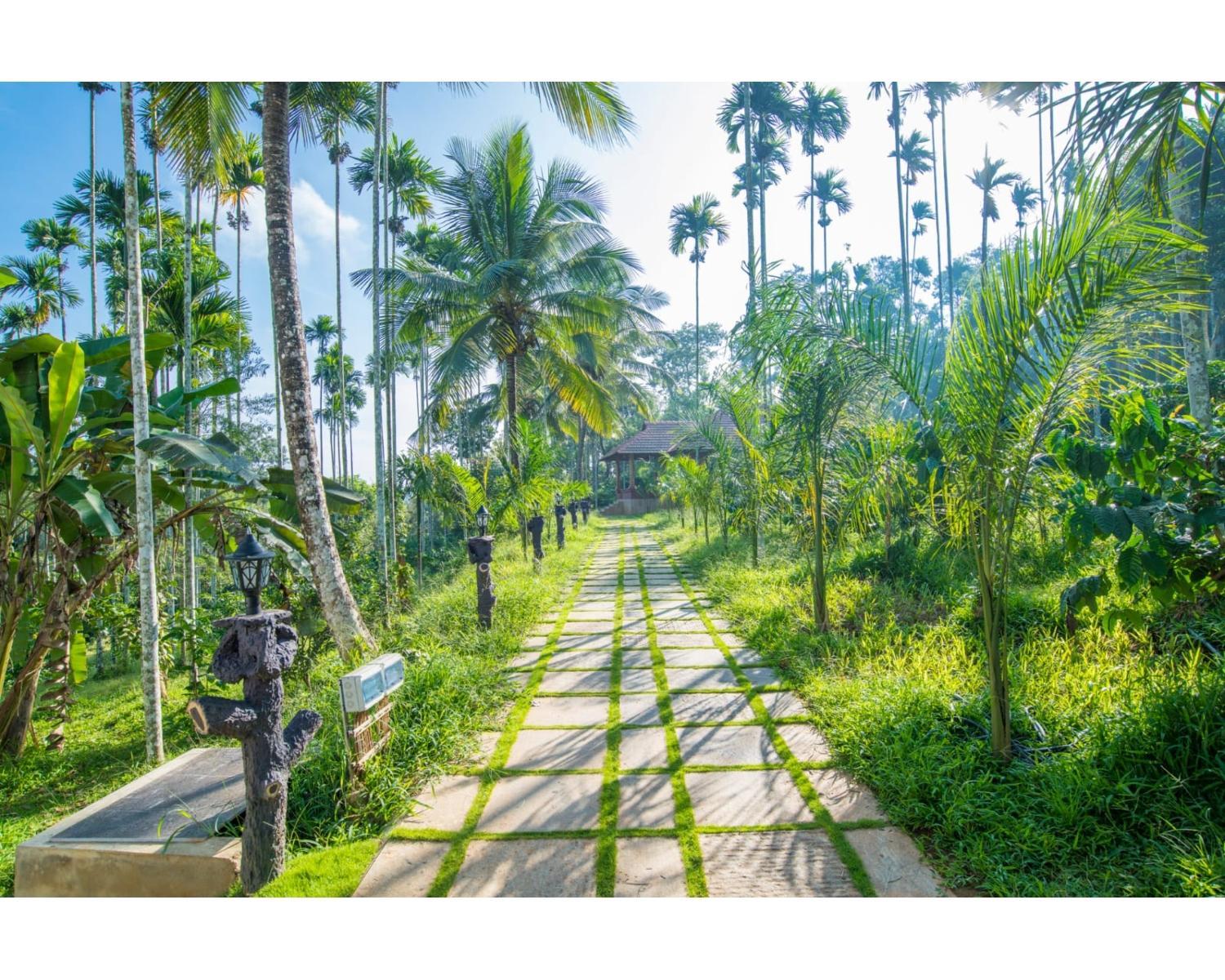 Wayanad Fort Resort, Noolpuzha, Kerala