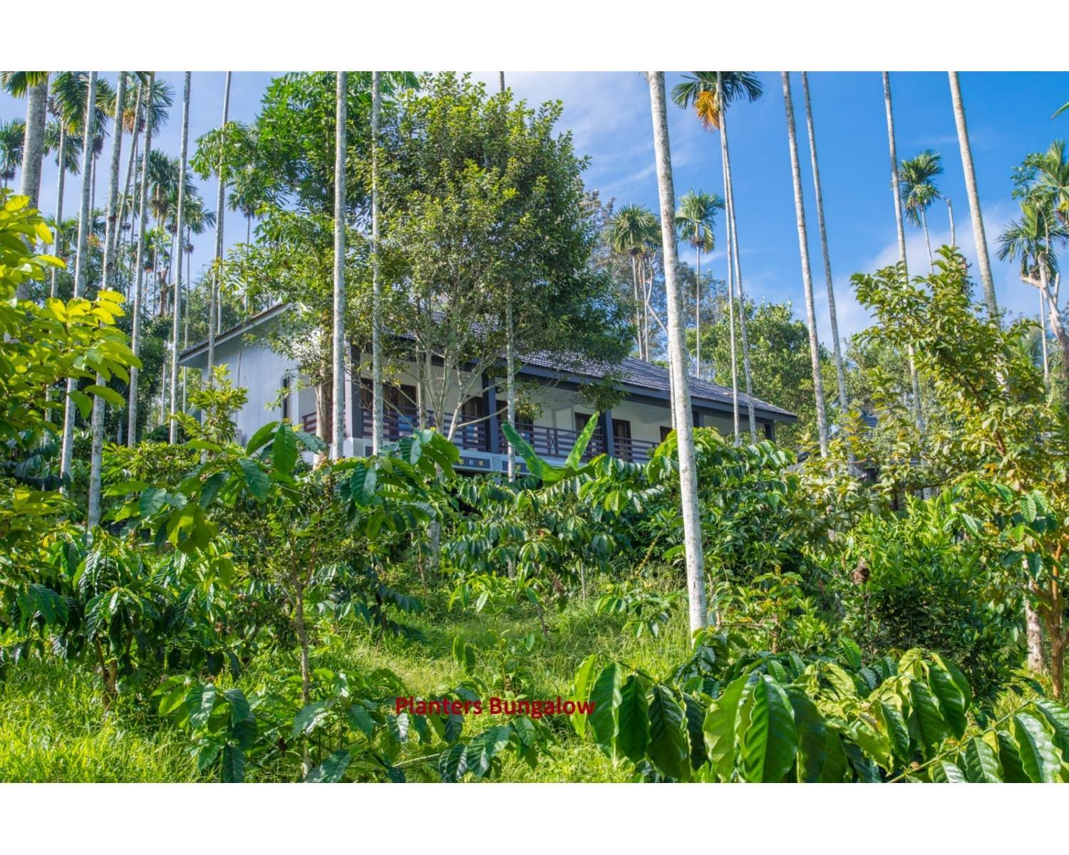 Wayanad Fort Resort, Noolpuzha, Kerala