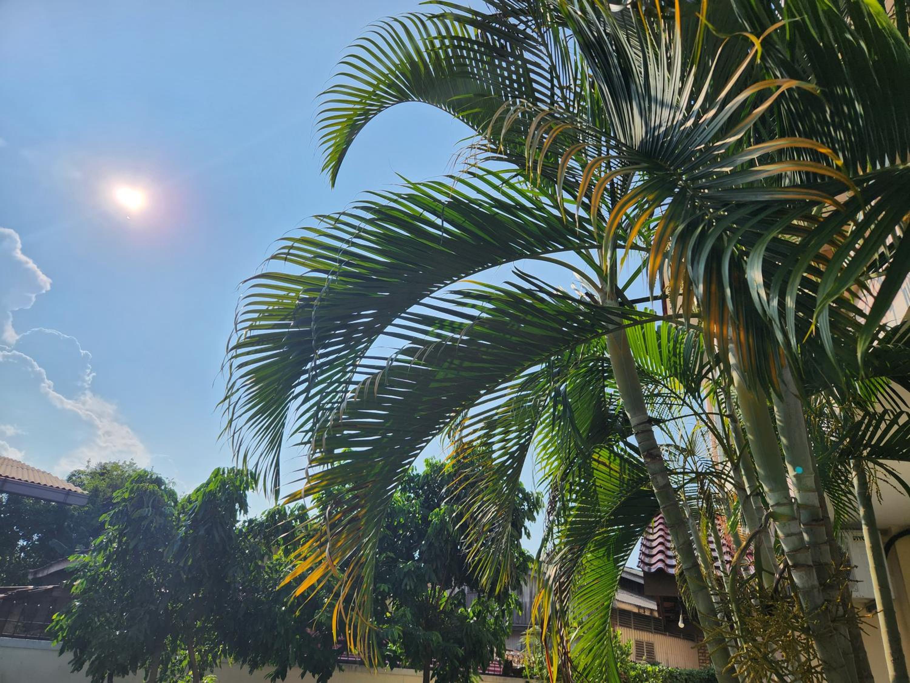Wakaf Bharu Garden Stay Semi-D By UJ photo 7