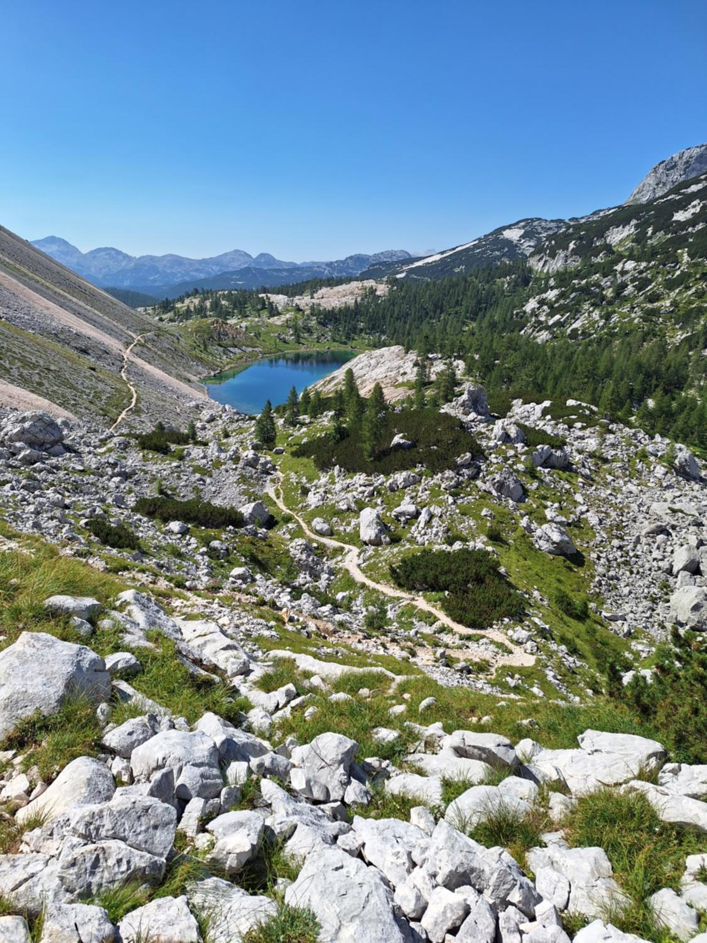 ALPSKA ROŽA view 5