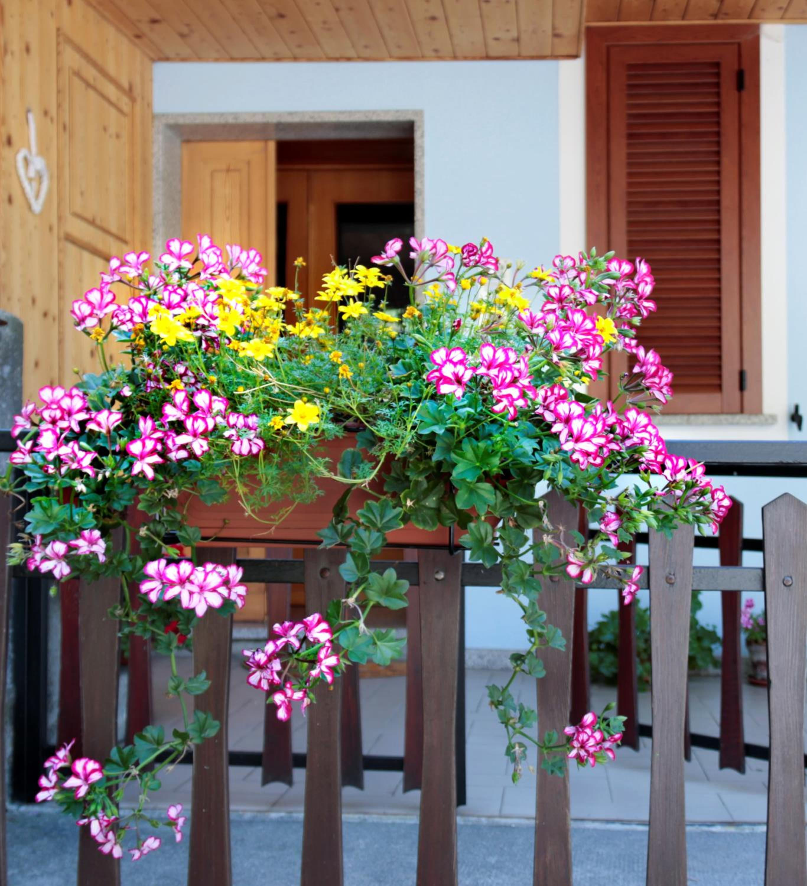 Casa Barbóla view 2