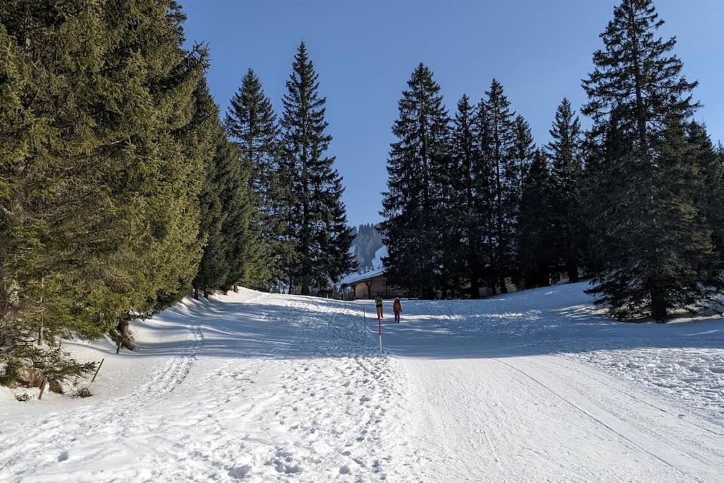 Wonderful holiday home with cablecar to ski area