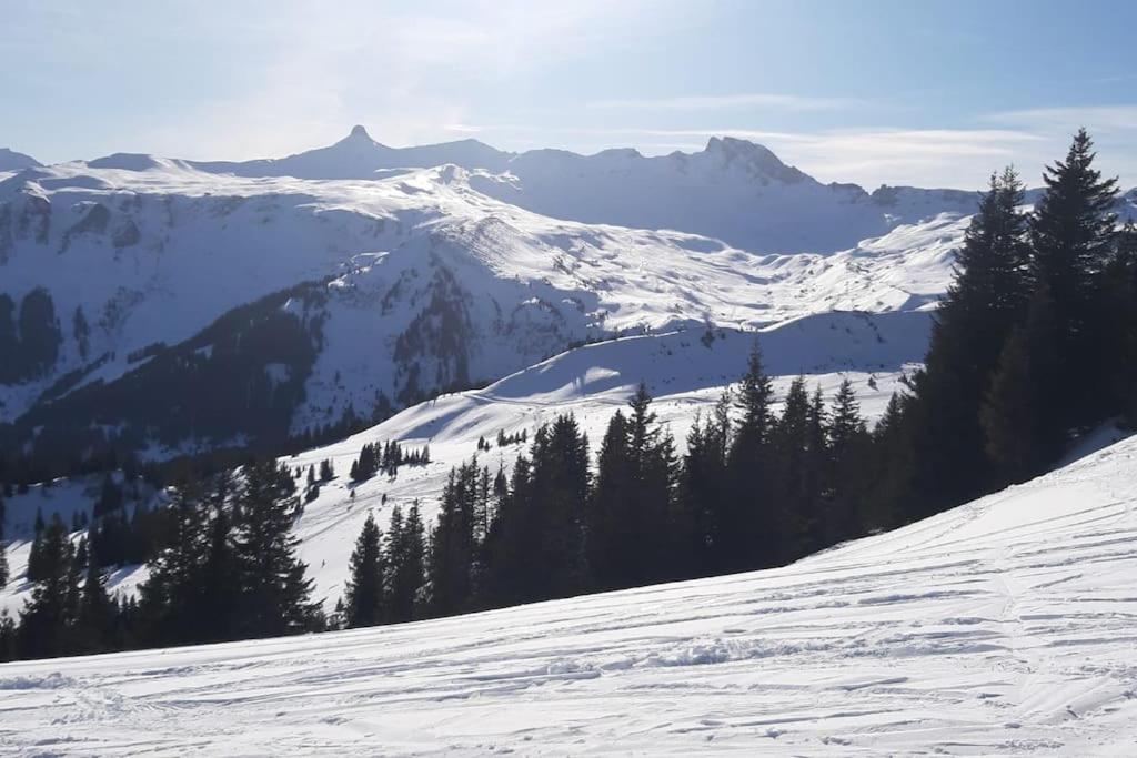 Wonderful holiday home with cablecar to ski area