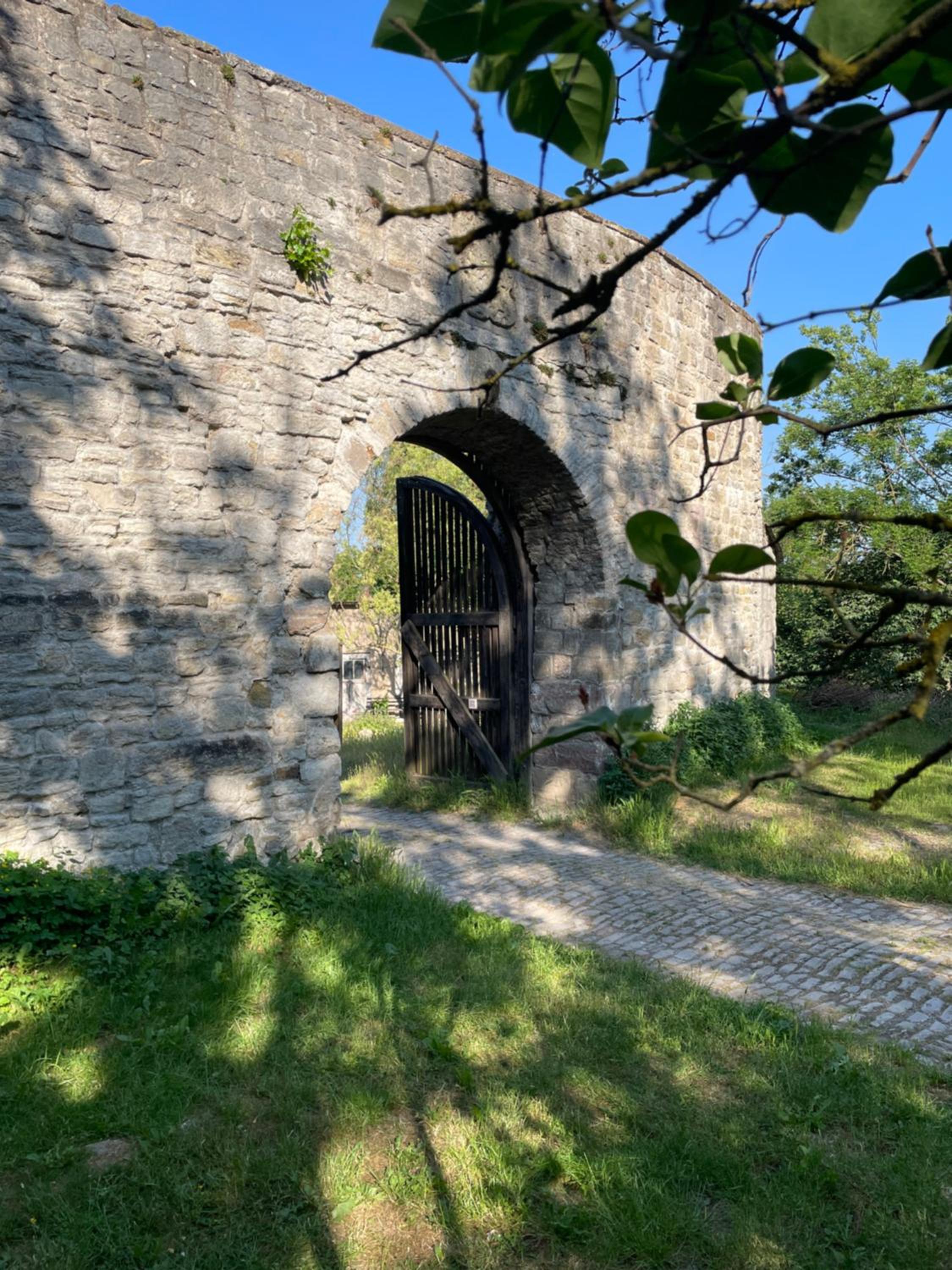 garden