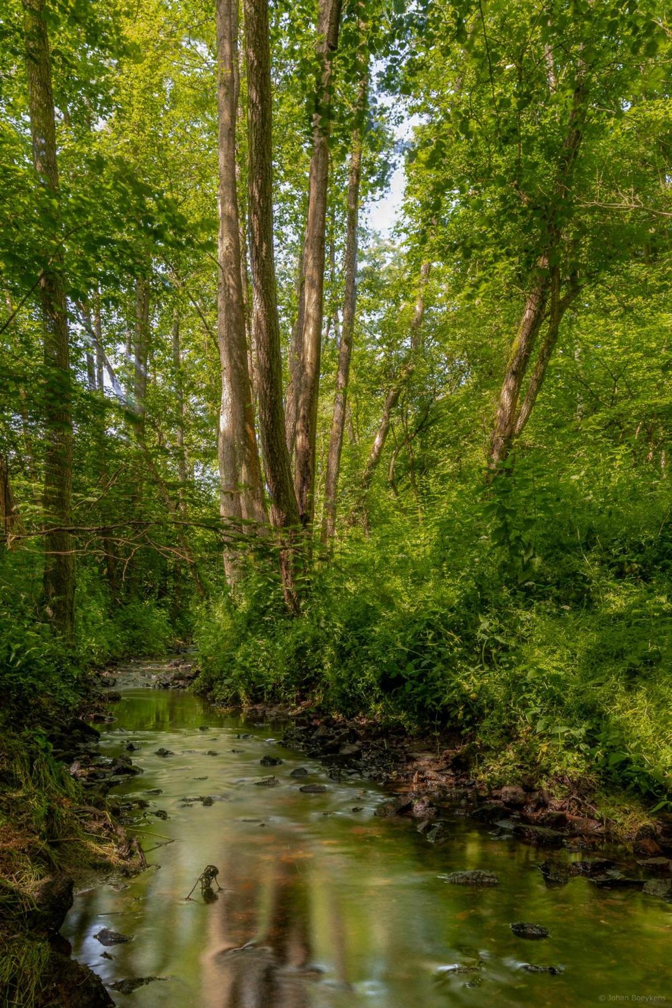 Gîte Le Sambre