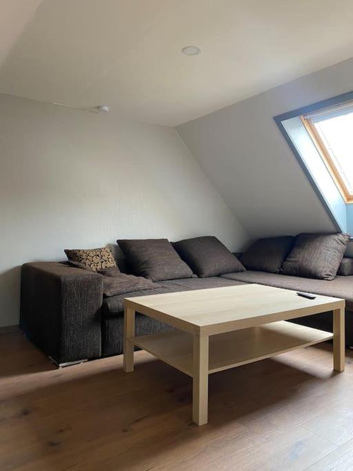 Koog Rooms