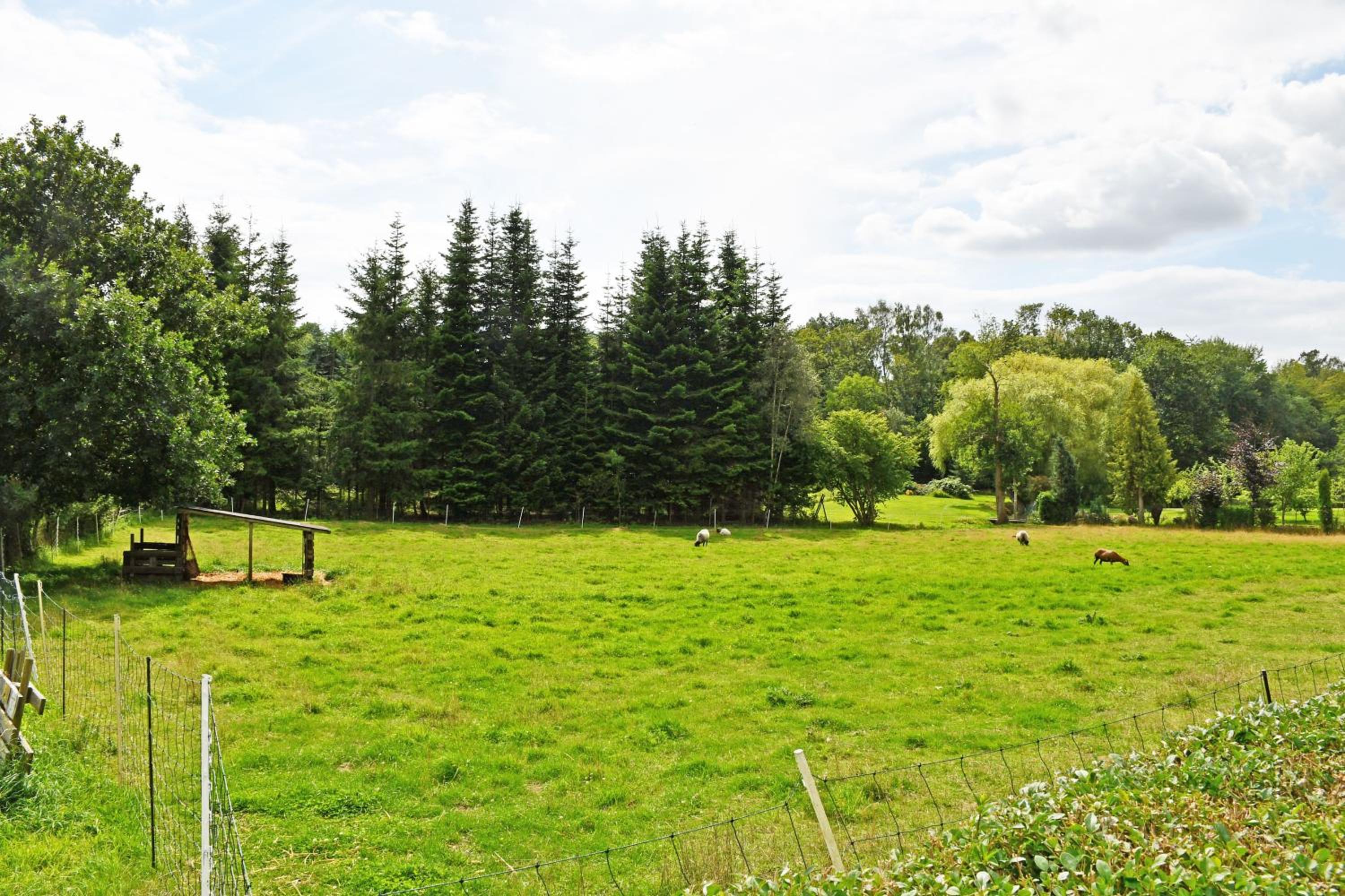 Ferienhaus Güstelitz mit viel Natur