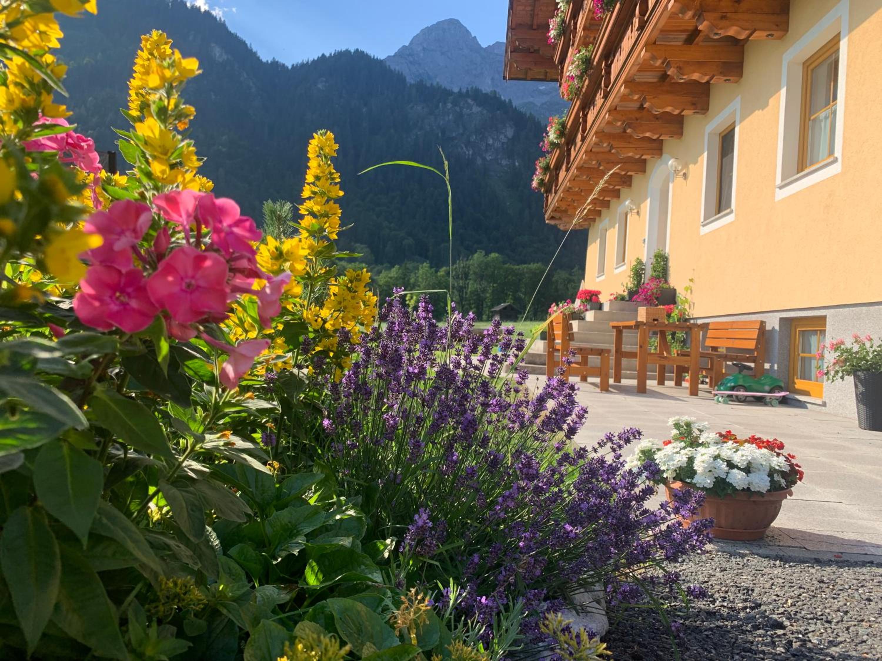 Alpen Appartements Oberlehengut - keine Haustiere - allergikerfreundlich