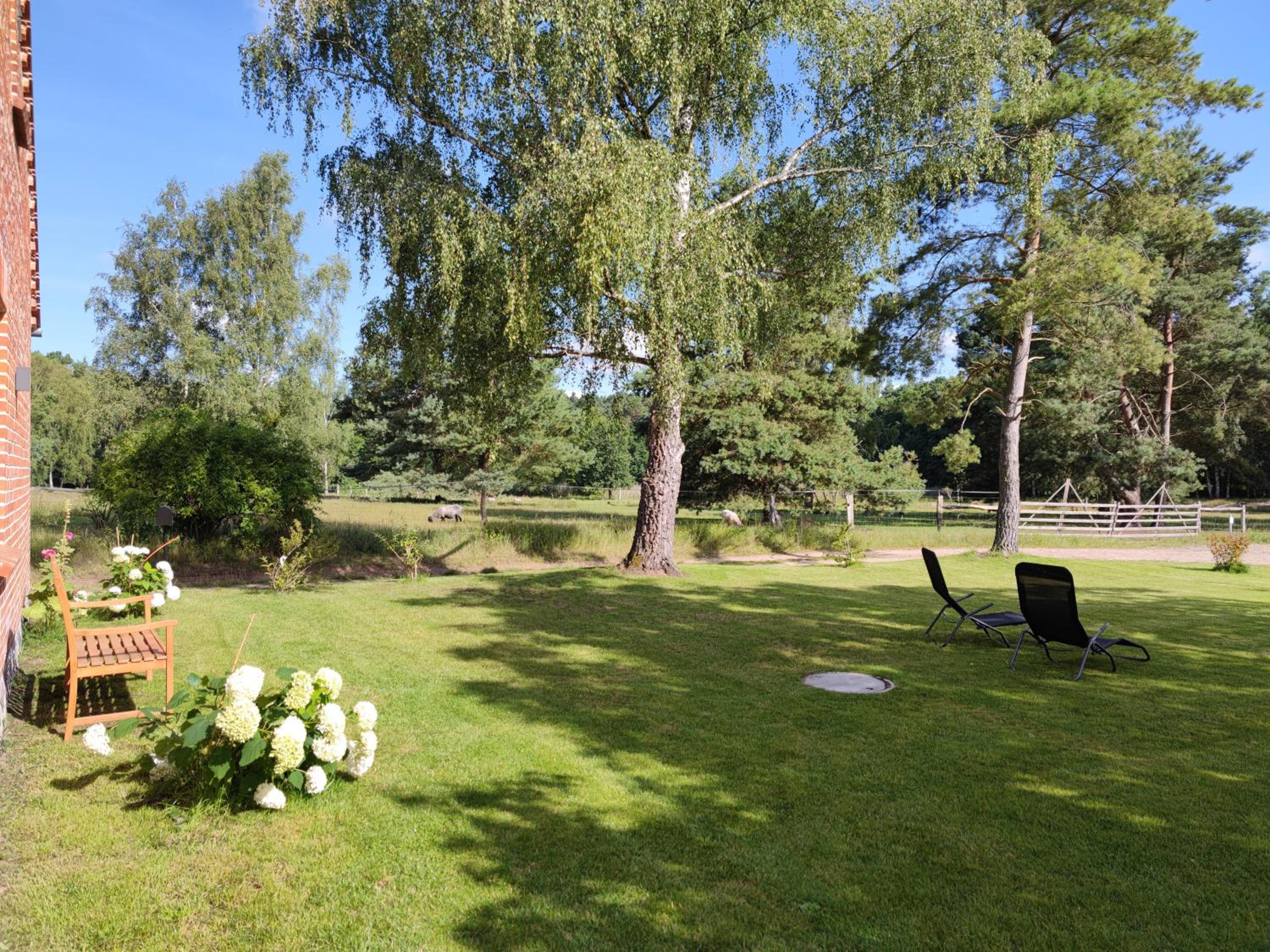 Photo 42