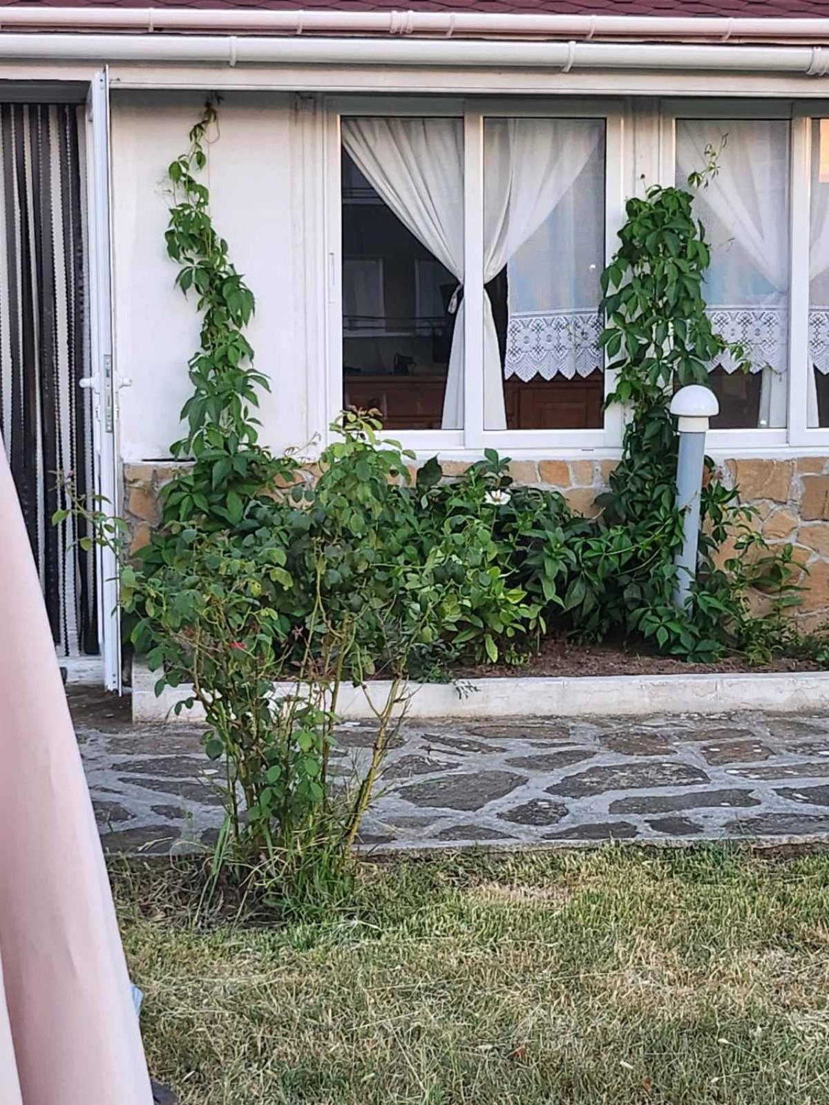 Guest House Maria