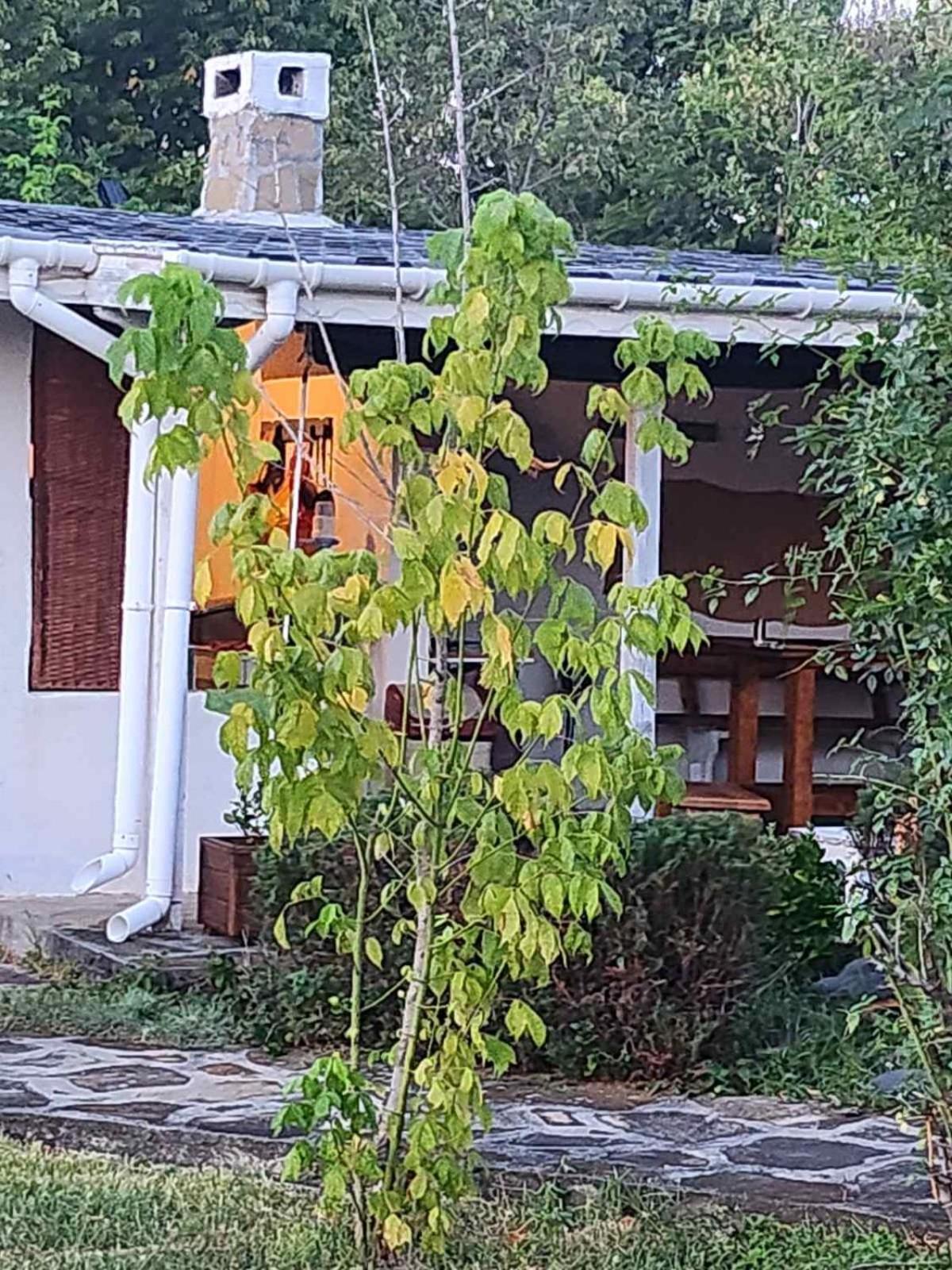 Guest House Maria