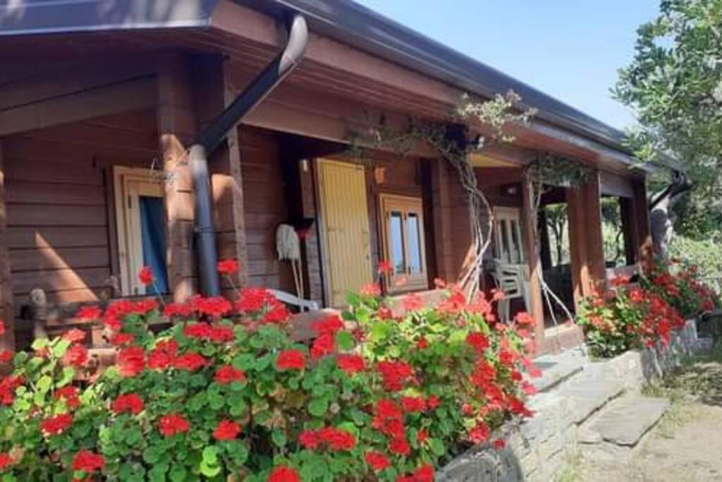 Lo Chalet di Ingrid