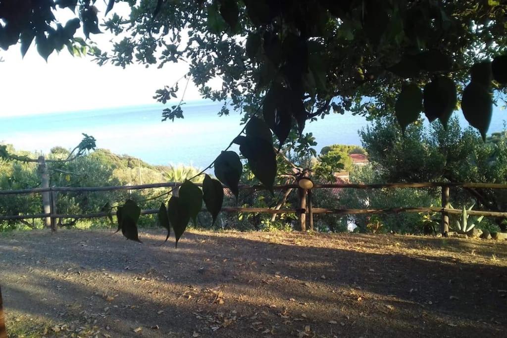 Lo Chalet di Ingrid