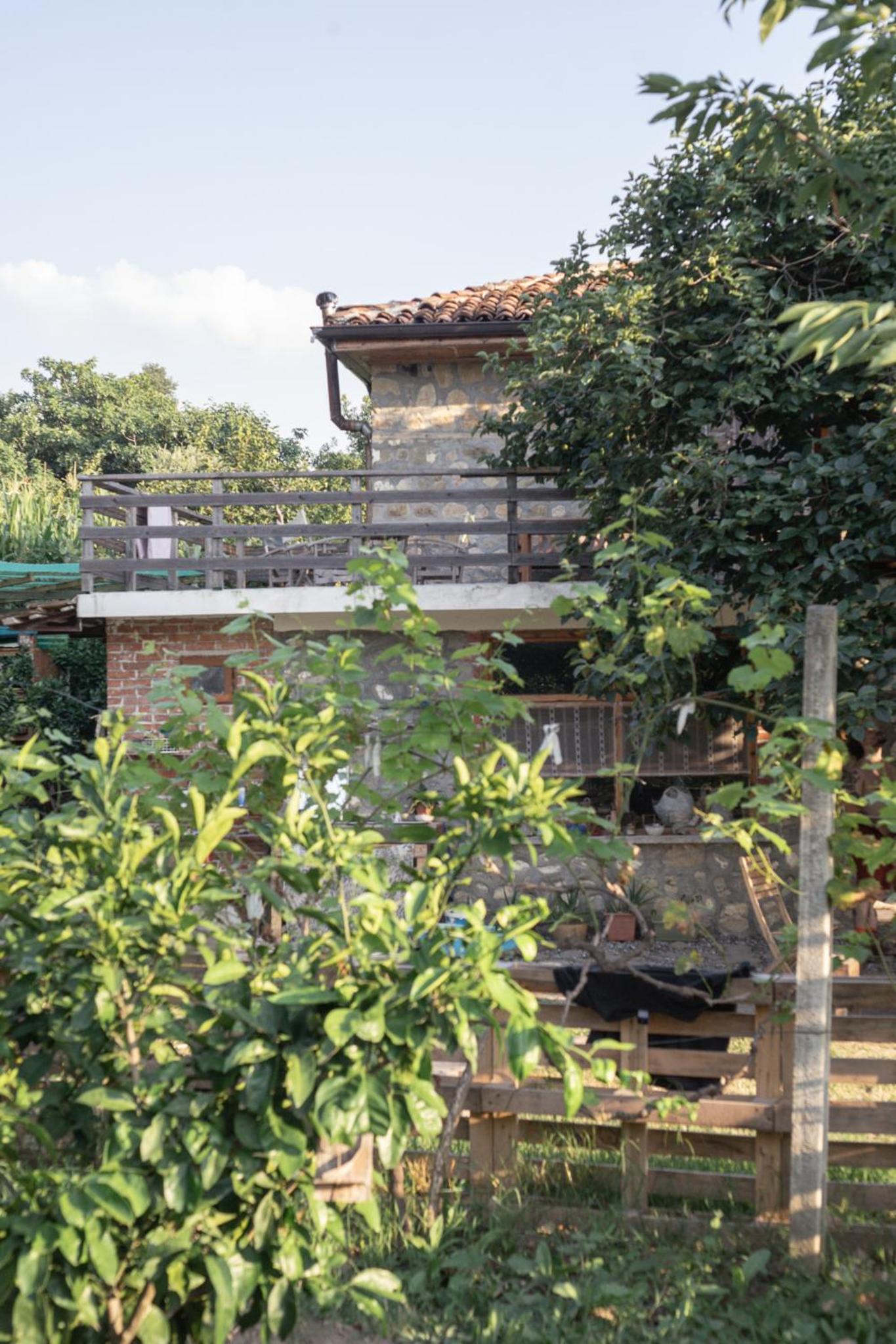 The house in the village