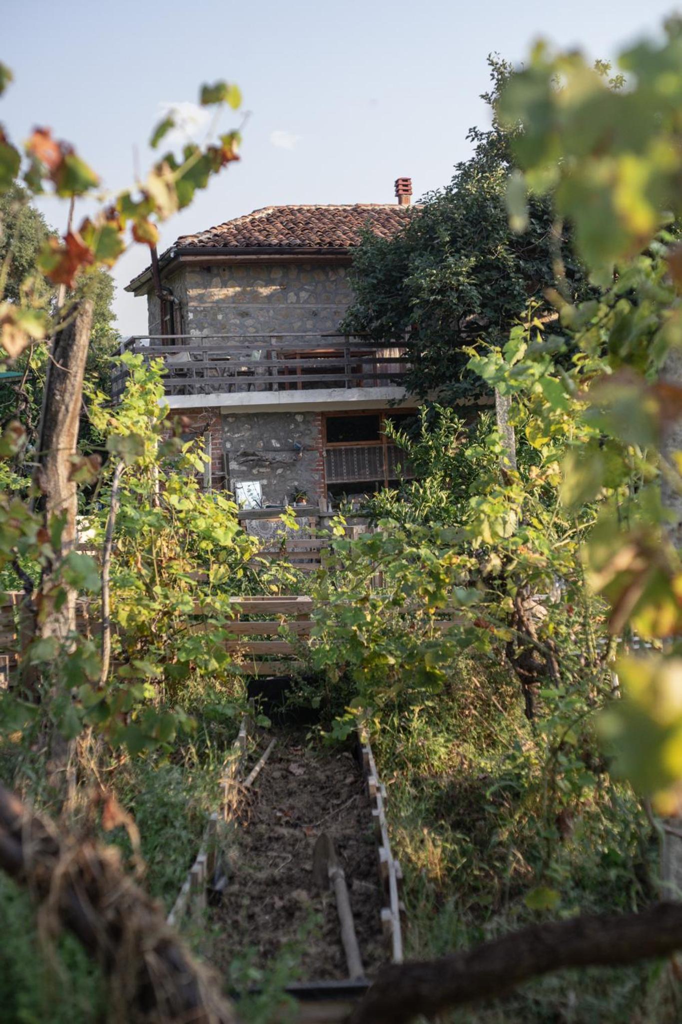 The house in the village
